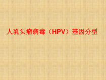 HPV基因分型精编版课件