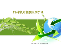 妇科常见急腹症及护理17张课件