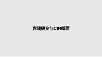 宫颈病变与CIN概要教案课件