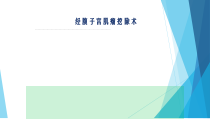 经腹子宫肌瘤挖除术课件