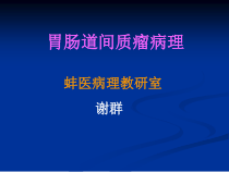 胃肠道间质瘤解读课件