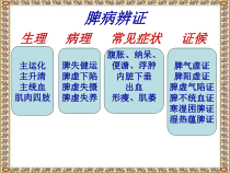 五脏腑辨证-脾与胃课件