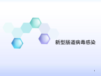 新型肠道病毒感染课件