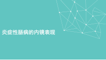 炎症性肠病的内镜表现课件