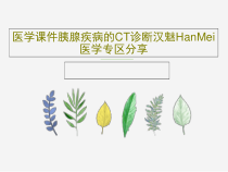 医学课件胰腺疾病的CT诊断汉魅HanMei医学专区分享共17页
