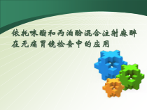 依-丙混合液在无痛胃镜检查中的应用课件