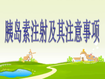 胰岛素笔使用及注意事项课件
