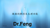 胰腺的解剖及生理功能课件
