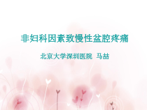 培训-非妇科因素所致慢性盆腔疼痛课件