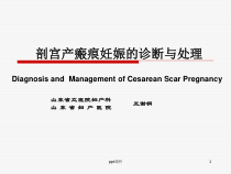 剖宫产瘢痕妊娠诊断与处理-课件