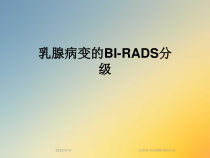 乳腺病变的BIRADS分级课件