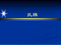 乳腺第一二节医学课件