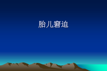 胎儿窘迫胎膜早破课件2