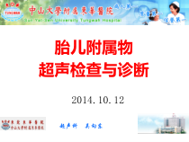胎儿附属物的超声波检查与诊断课件