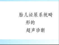 胎儿泌尿系畸形超声诊断课件