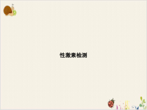 性激素检测课件