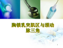 医学课件-解剖之颈动脉三角胸锁乳突肌课件