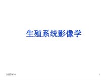 影像课件男女性生殖系统