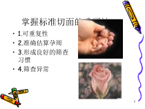 中晚孕标准切面及生理产科测值课件