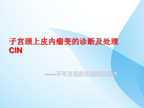 子宫颈上皮内瘤变讲课用课件