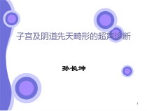 子宫先天畸形的超声诊断课件