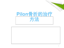 Pilon骨折的治疗学习课件