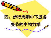 步行周期中下肢各关节生物力学讲解课件