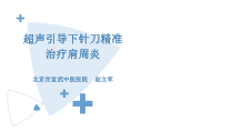 超声引导下针刀精准治疗肩周炎课件