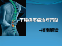 成都骨科会议课件-下腰痛疼痛治疗策略课件