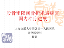 粗隆间骨折术后康复国内治疗进展课件