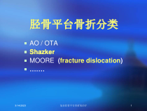 复杂胫骨平台骨折的治疗课件