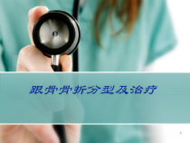 跟骨骨折分型及治疗参考课件