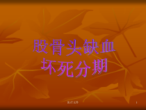 股骨头坏死分期医疗研究课件