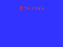 骨骼肌肉系统X线诊断学医学课件