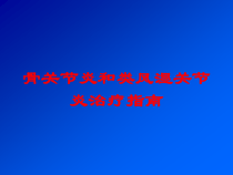 骨关节炎和类风湿关节炎治疗指南培训课件