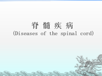 脊髓压迫症课件