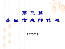 10DNA的生物合成复制药学课件
