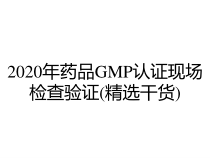 2020年药品GMP认证现场检查验证精选干货课件