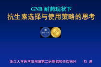 gnb-耐药现状下抗生素选择与使用策略的思考-课件
