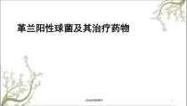 G及治疗药物课件