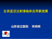 jn正性肌力药物新进展左西孟旦注射液临床应用课件共69页