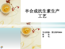 半合成抗生素生产工艺课件