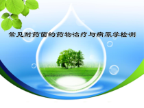 常见耐药菌的药物治疗与病原学检测教材课件