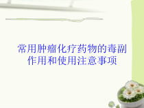 常用肿瘤化疗药物的毒副作用和使用注意事项培训课件