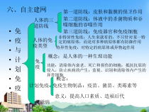 初中生物_用药与急救课件1