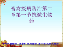 畜禽疫病防治第二章第一节抗微生物药课件