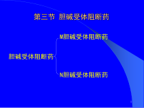 传出神经系统药-第三节-胆碱受体阻断药-药物应用护理-药理学教学课件