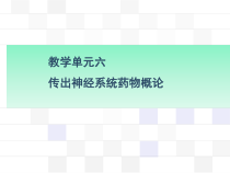 传出神经系统药物课件