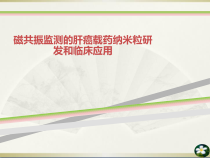 磁共振监测的肝癌载药纳米粒研发和临床应用课件