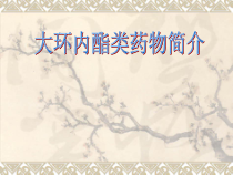 大环内酯类药物及其合理应用课件